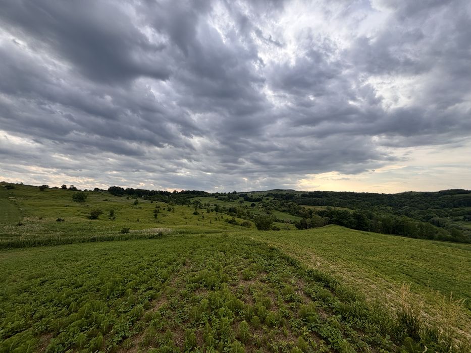 Продаж 26 Га землі с. Снячів (можливо частинами)