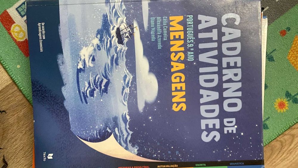 Conjunto de livros de fichas do 9 ano encadernados