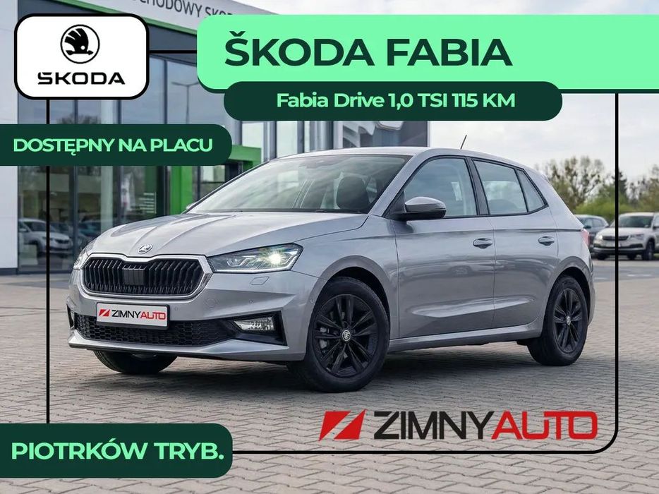 Skoda Fabia Pakiet Winter Basic / Comfort Plus