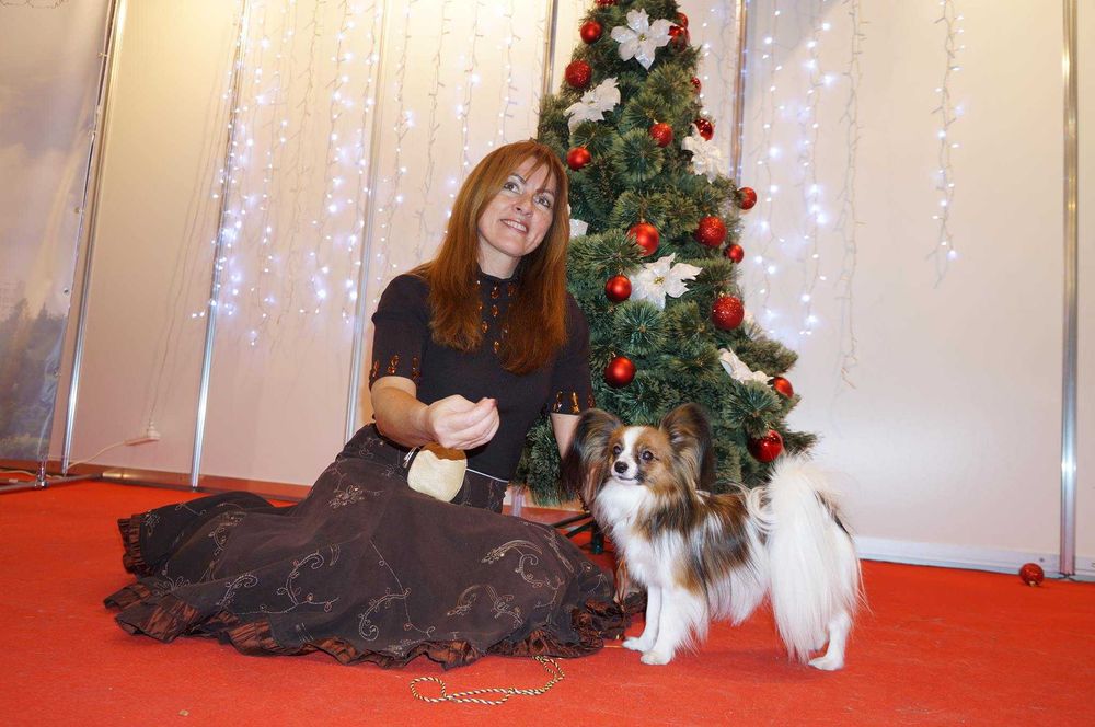 папільон .з розплідника