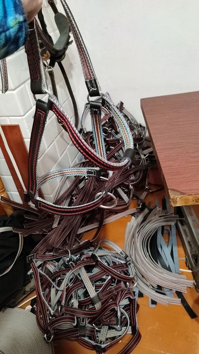 Недоуздок для коров быков джерси голштинской породы абердин