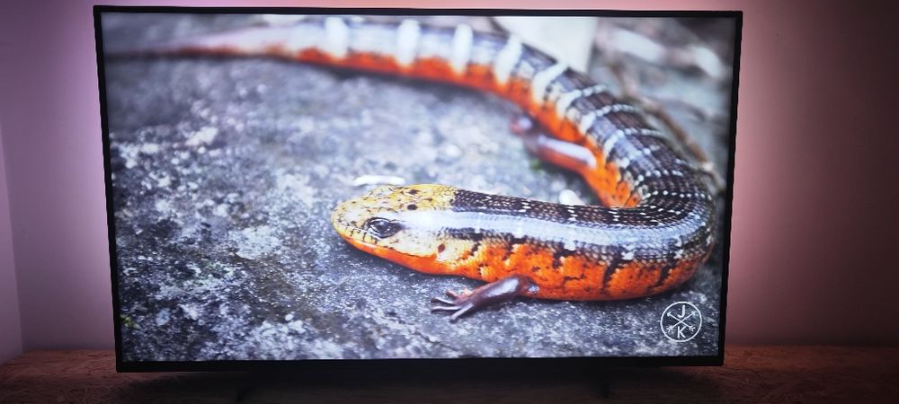 Telewizor LED 55 cali Philips Smart AMBILIGHT 4K