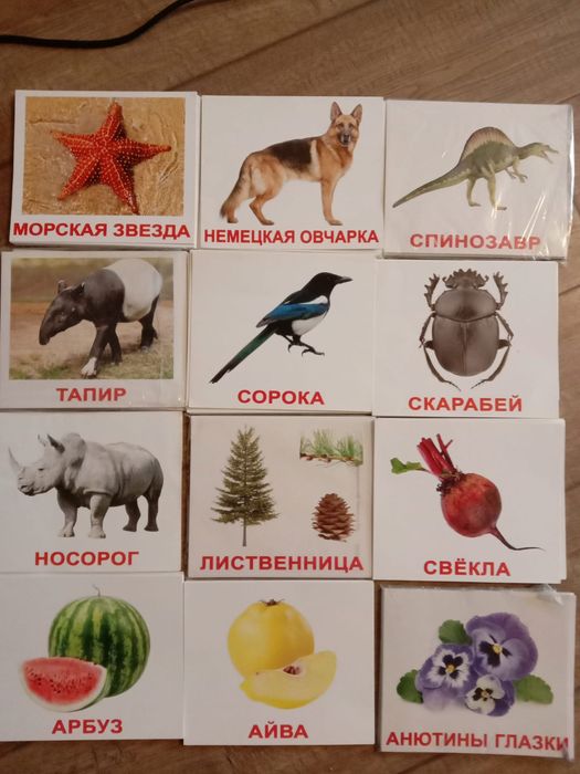 Розвивальні картки,книги для малюків