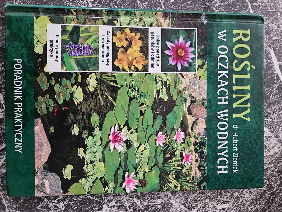 Książka Oczko wodne Małgorzata Bogusławska stan bdb