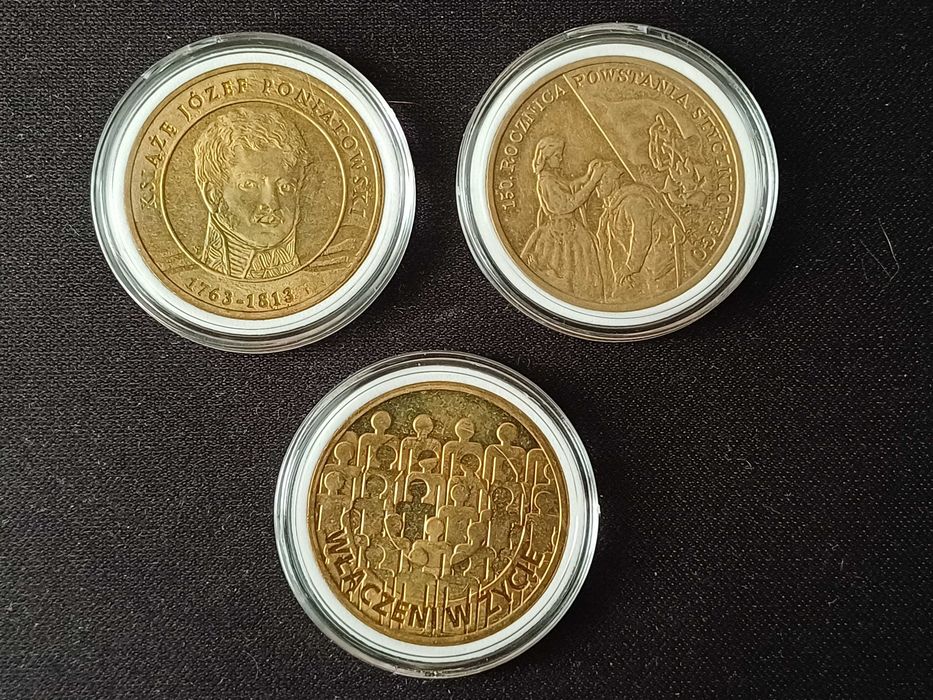 Monety okolicznościowe 2 zł - 2013 rok - 13 z 14 wydanych