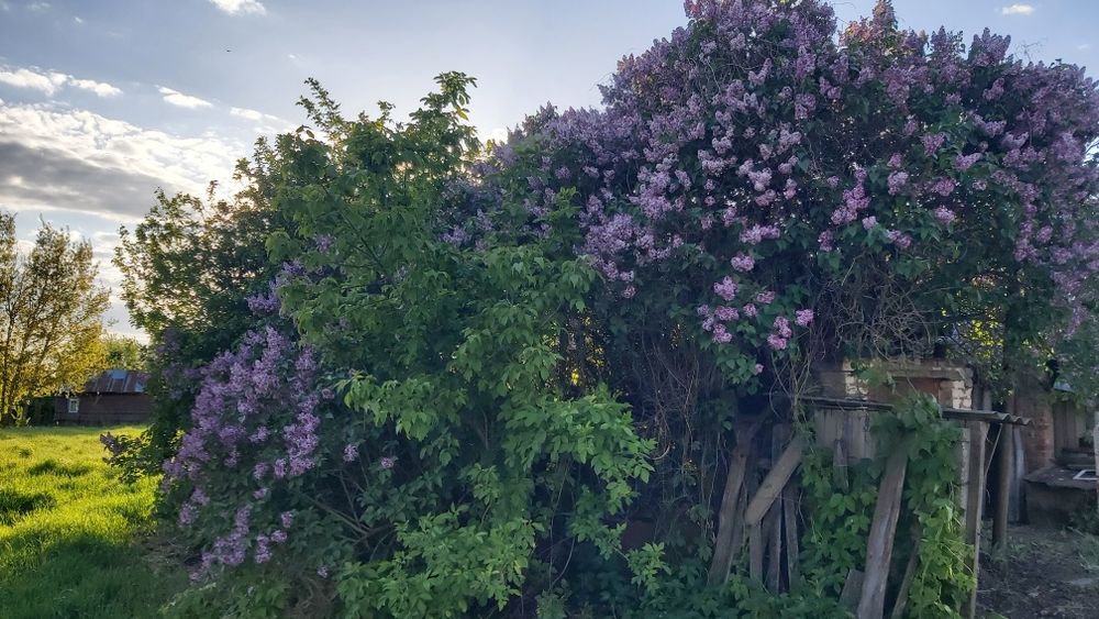 Будинок з газом,  25 км від Чернігова.