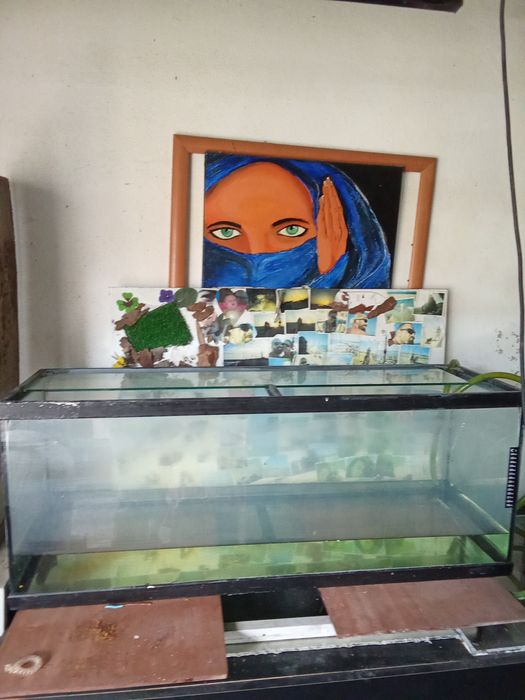 Aquário  120 lts+ OFERTA de termostato