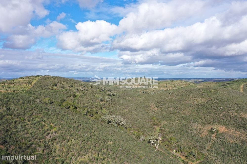 Herdade  Venda em Santana da Serra,Ourique