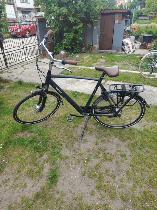 Gazelle Orange C7+