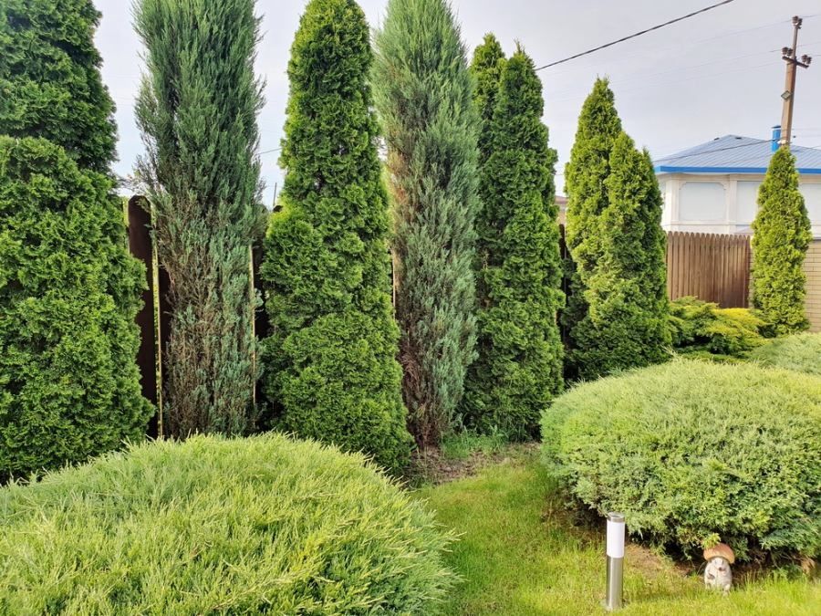 Продам дом с ремонтом Новоалександровка