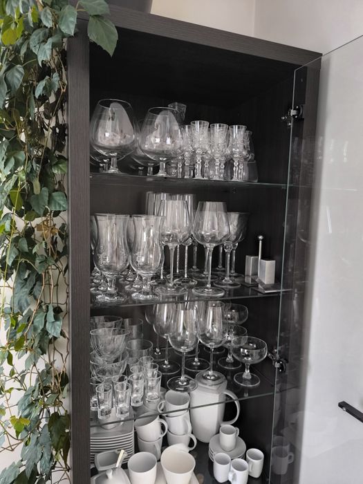 Meble witryn do salonu