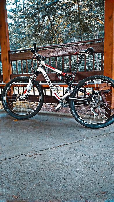 Rower Wilier Triestina