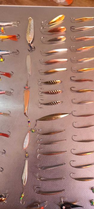 Барансири, блешні Зимові