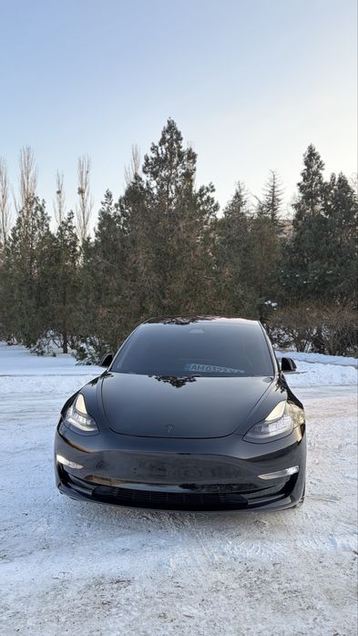 Tesla Model 3 Dual Motor Long Rang