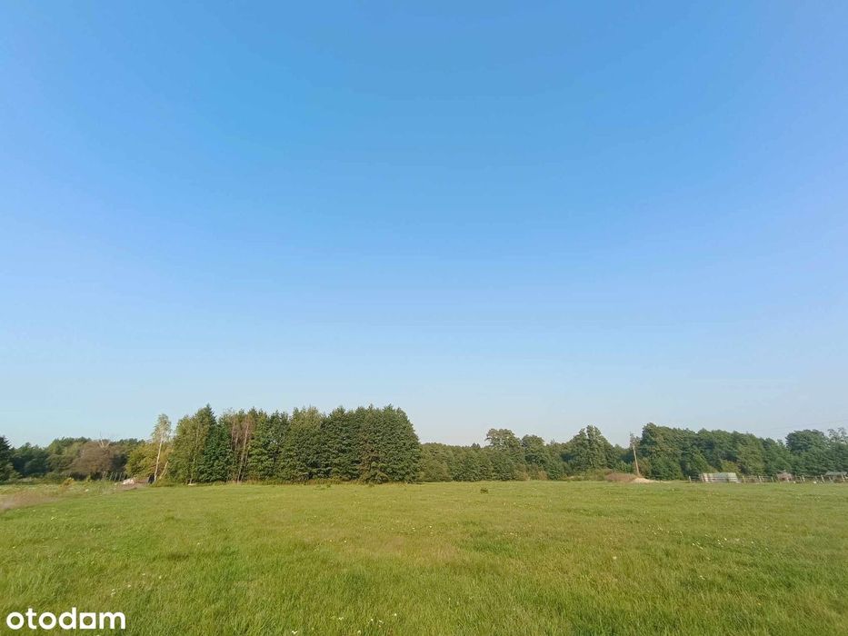 Działka/ działki budowlane Krubki Górki - Widok 5