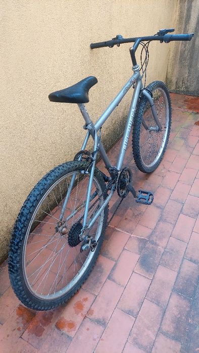 Bicicleta de adulto