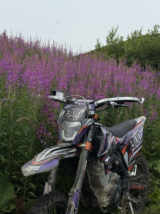 Kovi Advance 300