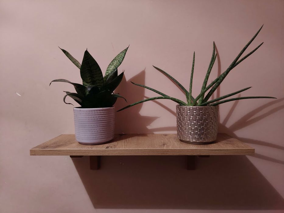 Półka ścienna wisząca dąb lancelot 3szt