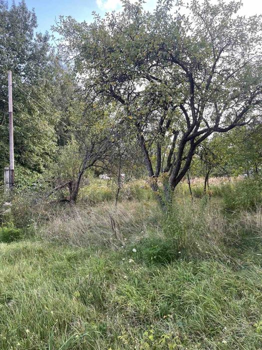 Будинок садиба біля лісу