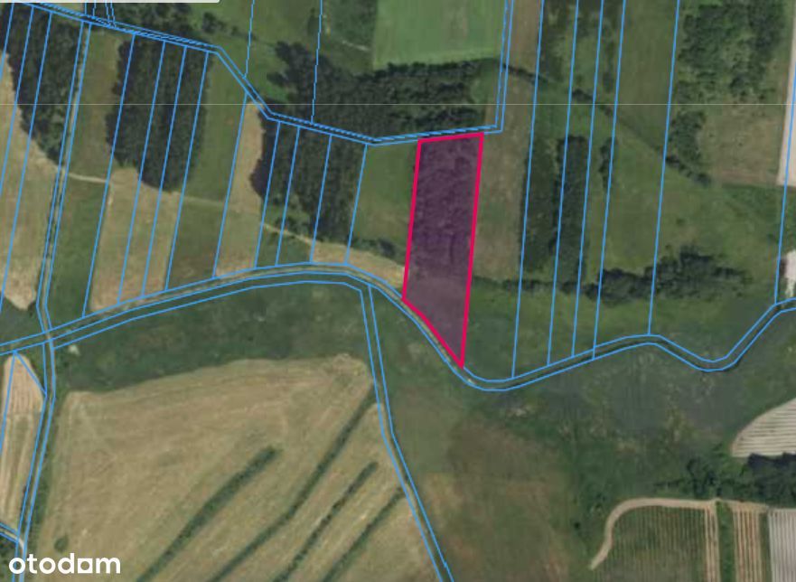 Działka rolna 1,16ha | Klukowicze, gm. Nurzec-Stacja