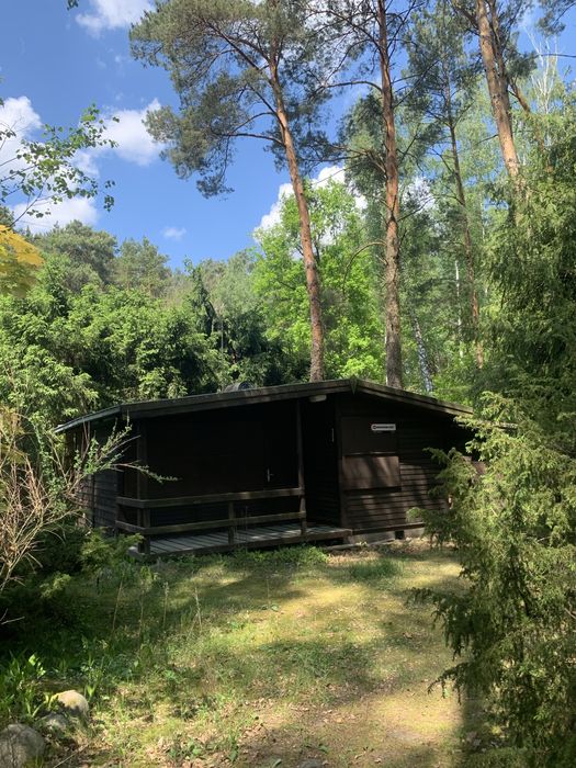 Działka budowlana 2130 m² z domkiem w lesie nad rzeką Liwiec! Stacja PKP, plaża, media. Tylko 50 min od Warszawy. Kaliska - Gmina Łochów. - Widok 3