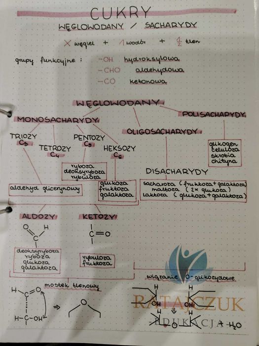 Notatki maturalne biologia i chemia + tablice + zadania