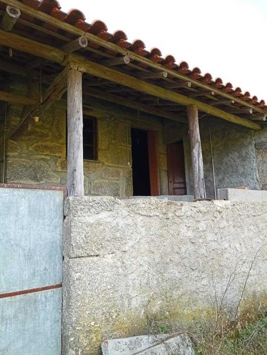 Quinta de 10 Hectares de Olival