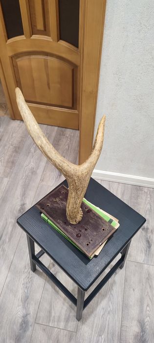 Интерьєр, Декор, Роги. Декор на стіну.