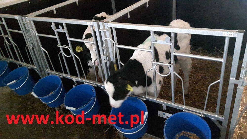 Kojce dla cieląt KBP 1/1.5, boksy