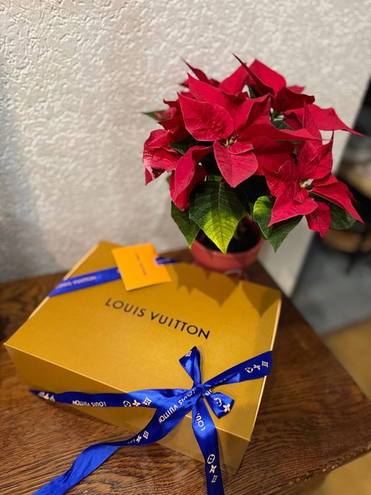 Коробка Louis Vuitton n2