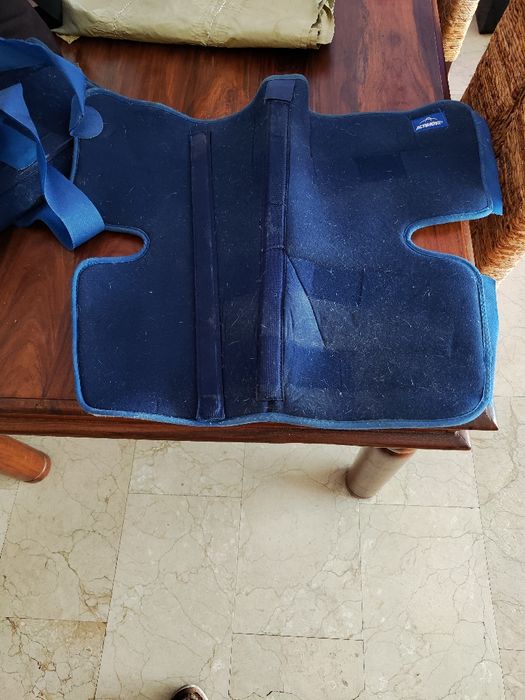 Talas da marca Actimove