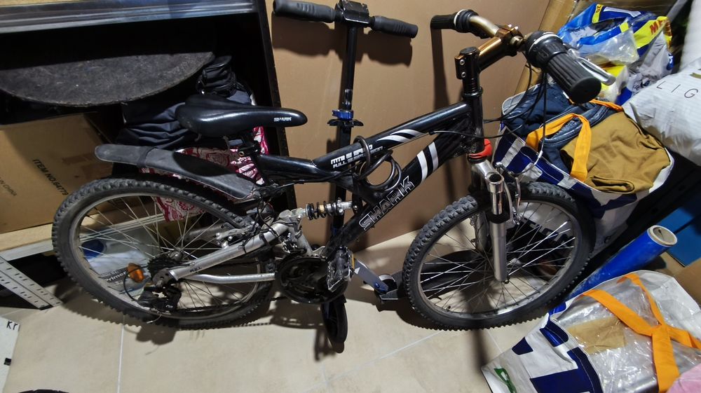 Rower Shark MTB 24'