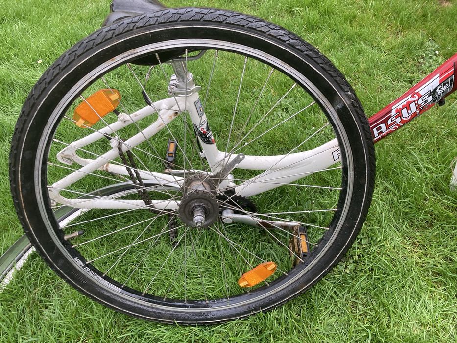 Rower miejski Pegasus