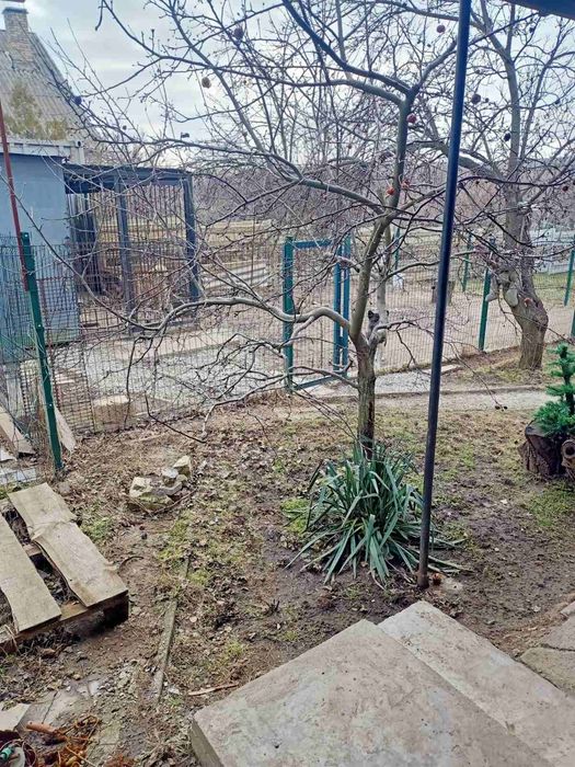 Сдам дом Шевченковский район