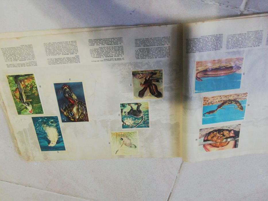 Caderneta de cromos antiga