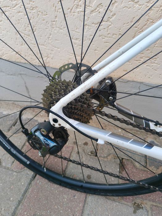 Trek Domane ALR 4 Disc 52 cm | Hydraulika | Sztywna Oś Tył