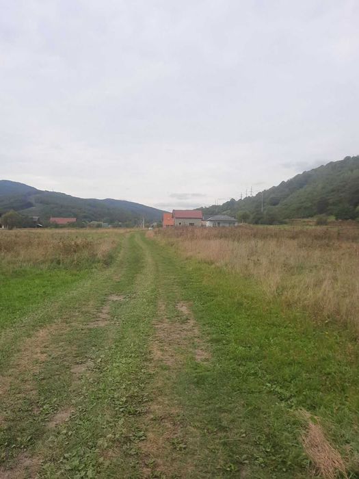 Продам ділянку в Карпатах коло лісу