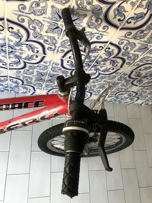 Bicicleta BERG *USADO*