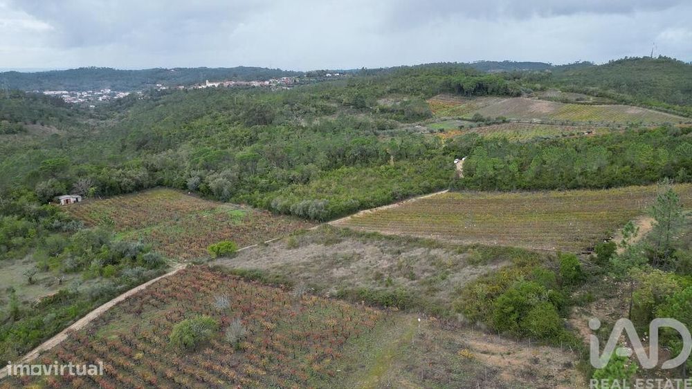 Terreno Agrícola em Condeixa-a-Velha e Condeixa-a-Nova