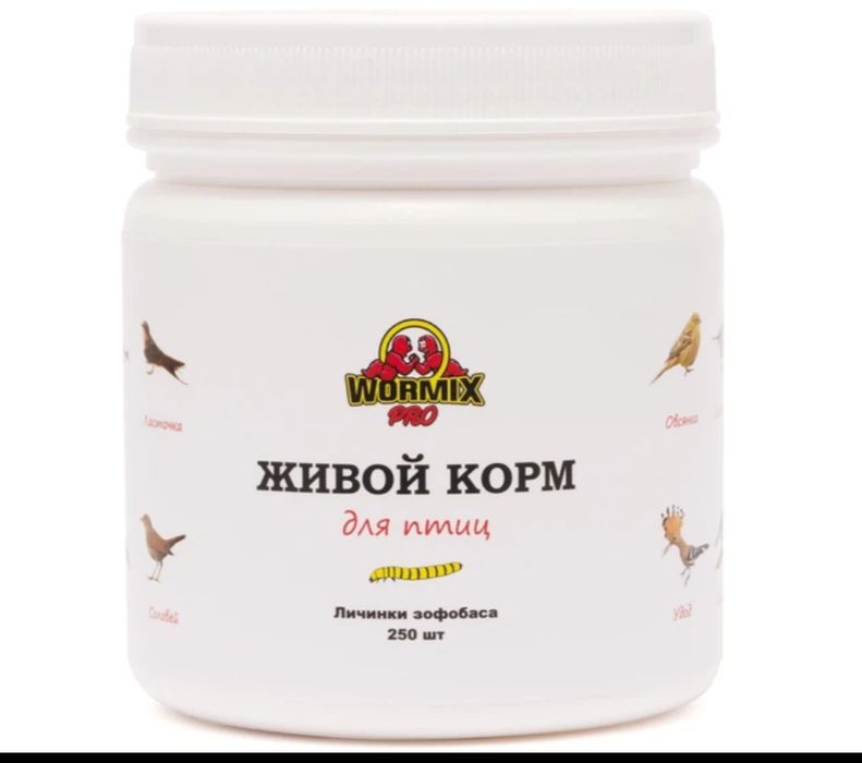 Зофобас 250+ шт. Живий корм для птахів та рептилій