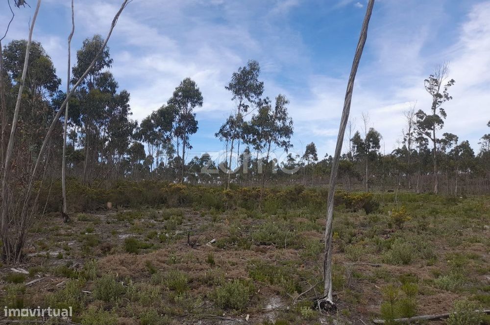 Terreno Rustico com 12580m2
