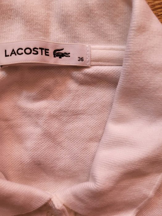 Koszulki Polo marki Lacoste