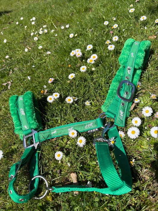 Kantar z futerkiem full zielony