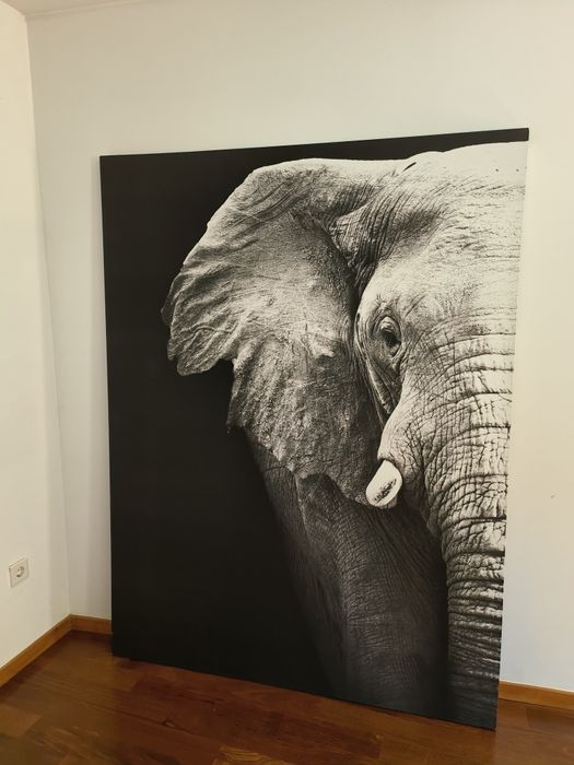 Decorative Picture 2 Meters64861682639361120