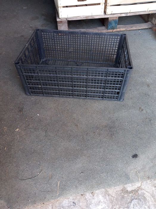 Plastikowe łuszczki