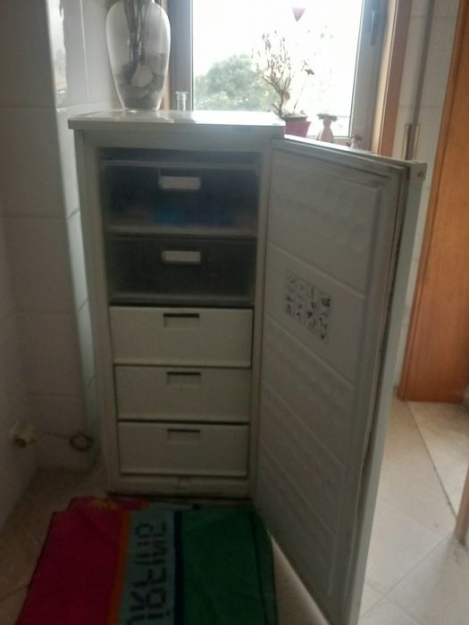 Arca Frigorífica