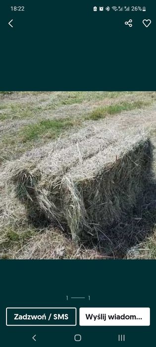 Siano kostka tegoroczne kostka swieze