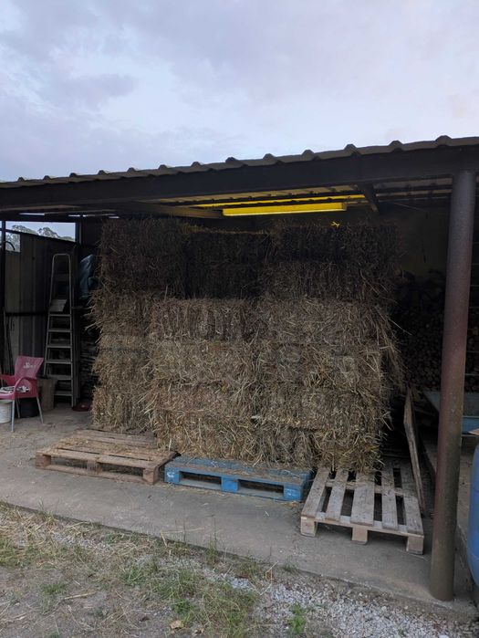 Fardos de palha 2025