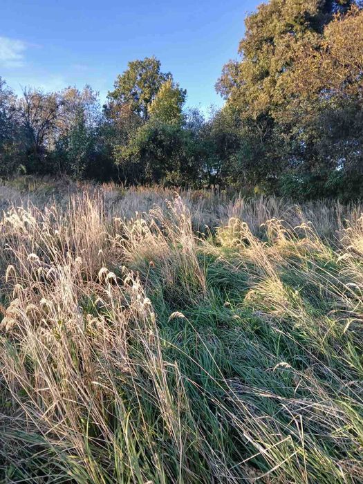 Земельна ділянка з будинком і літньою кухнею