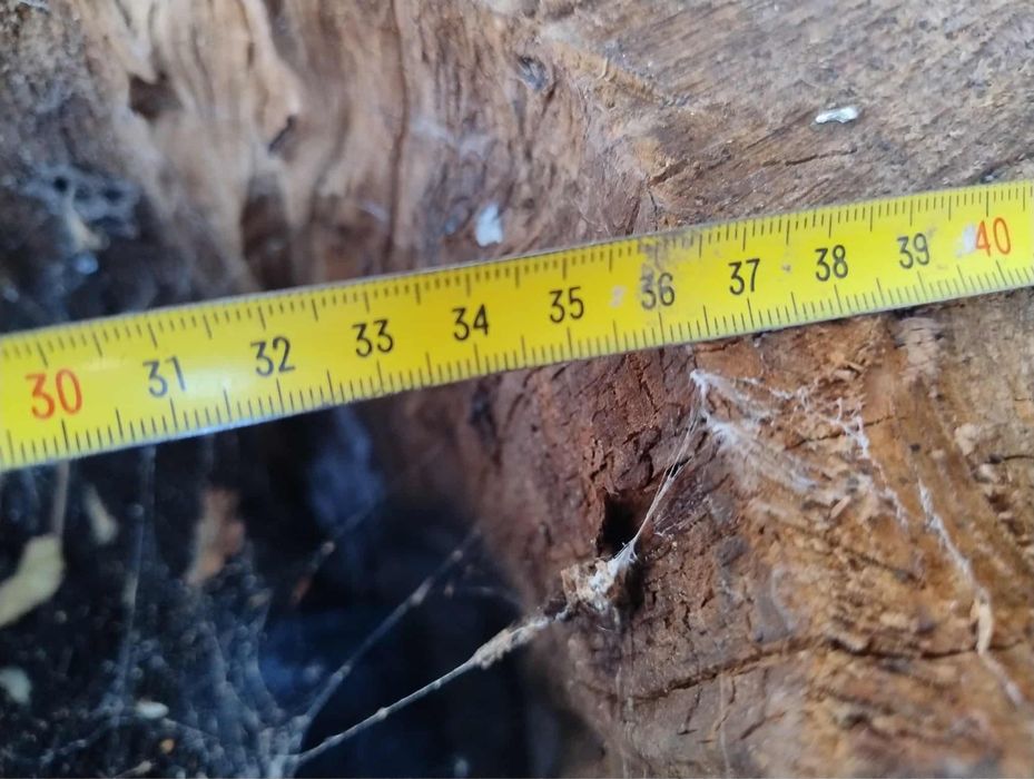 Duży pieniek na beczkę do ogrodu ozdobny